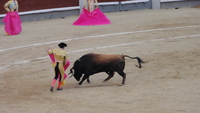madrid_11