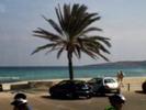 Becca 'teaching' in Mallorca