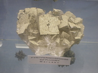 metsoc_zurich
