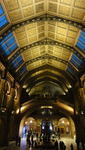 Natural History Museum