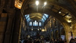 Natural History Museum