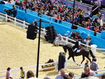 Becca and Ramaine at the Olympics