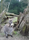 Sean and Shane at Woburn Safari Park