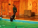 Sean and Shane at Woburn Safari Park