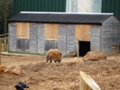 Sean and Shane at Woburn Safari Park