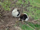 Sean and Shane at Woburn Safari Park