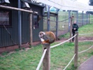 Sean and Shane at Woburn Safari Park