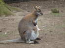 Sean and Shane at Woburn Safari Park