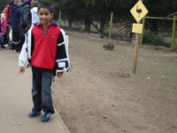 safari_park_08