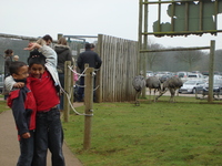 safari_park_08