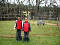 safari_park_08