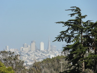 san_fran_16