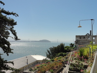 san_fran_16