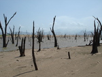 Southern Sri Lanka