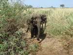 Southern Sri Lanka