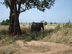 Southern Sri Lanka