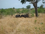 Southern Sri Lanka