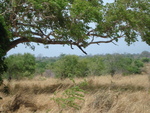 Southern Sri Lanka