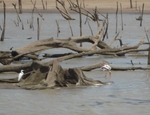 Southern Sri Lanka