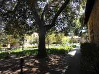 stanford_16
